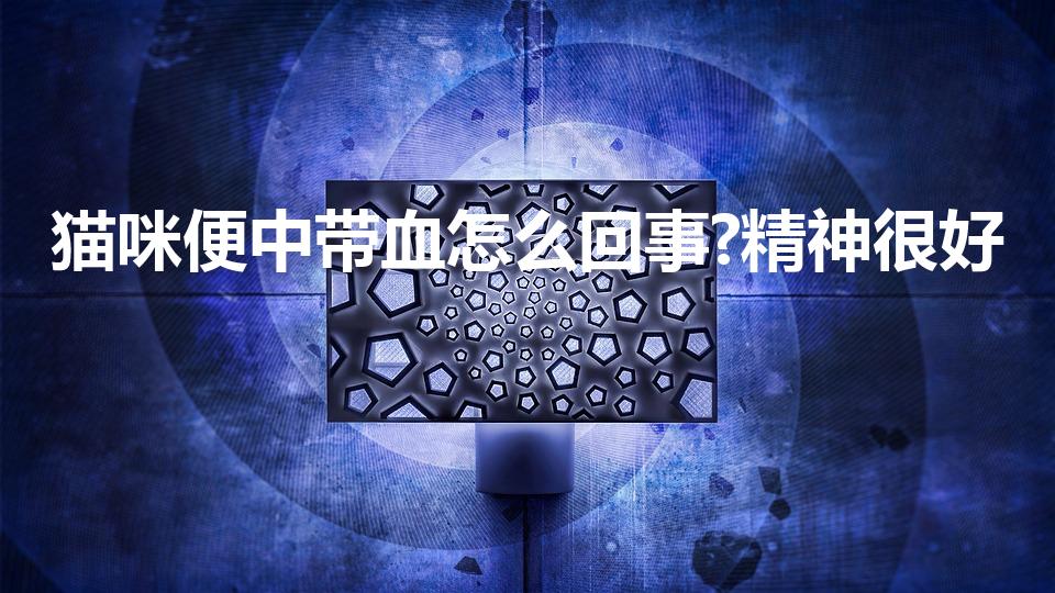 猫咪便中带血怎么回事?精神很好（猫咪拉稀带血但精神很好）