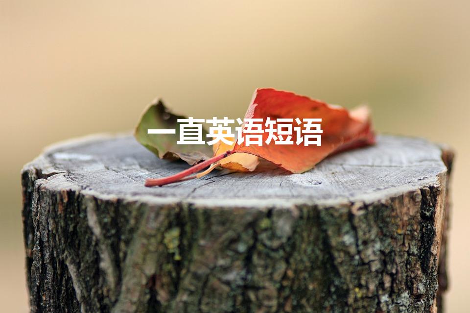 一直英语短语（一直的英文短语怎么说）