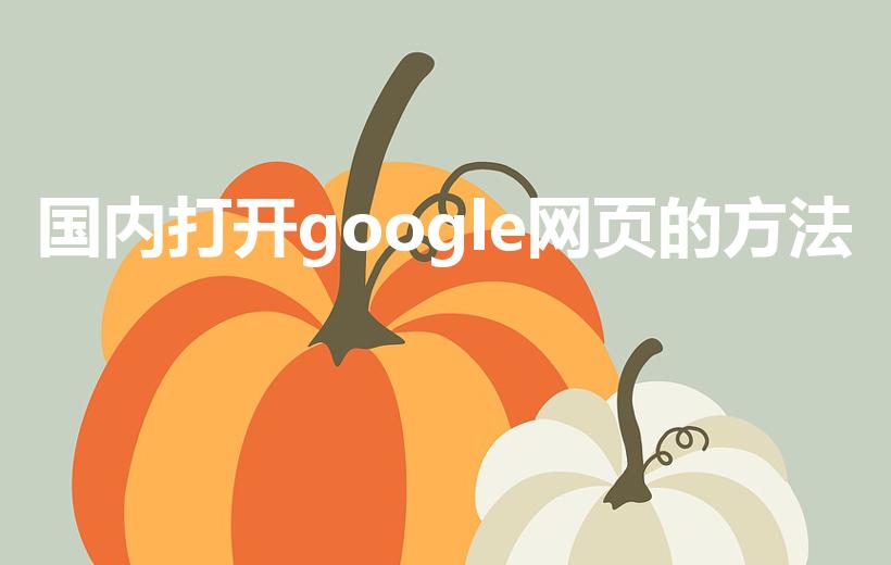 国内打开google网页的方法（如何使用谷歌浏览器）