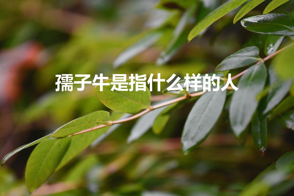 孺子牛是指什么样的人（孺子牛比喻什么人）