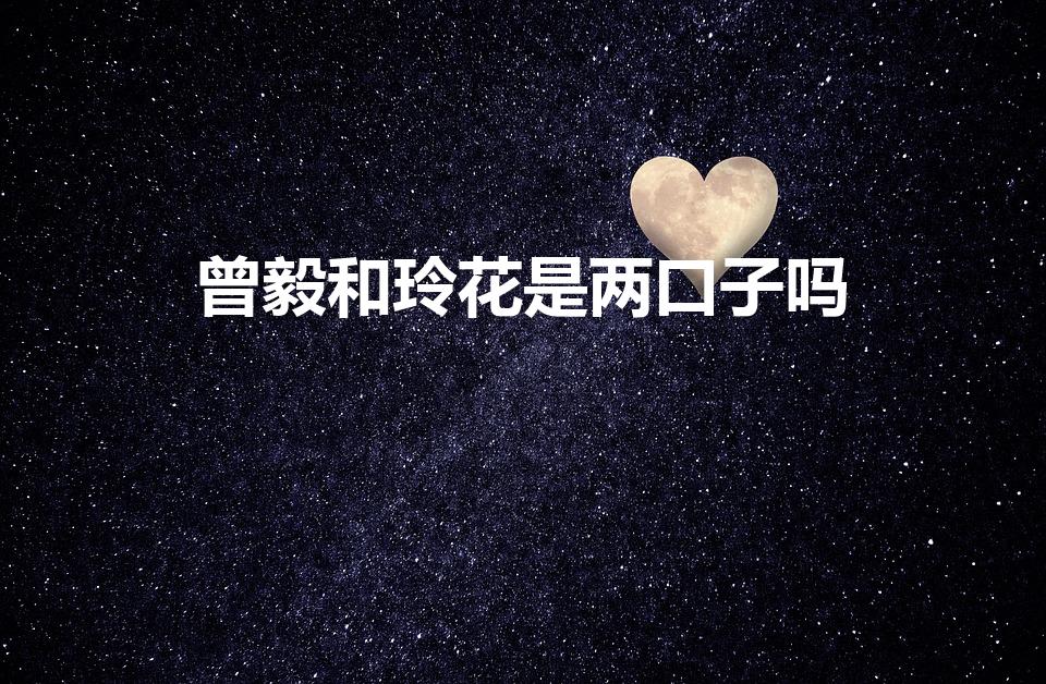 曾毅和玲花是两口子吗（玲花和曾毅是夫妻吗）