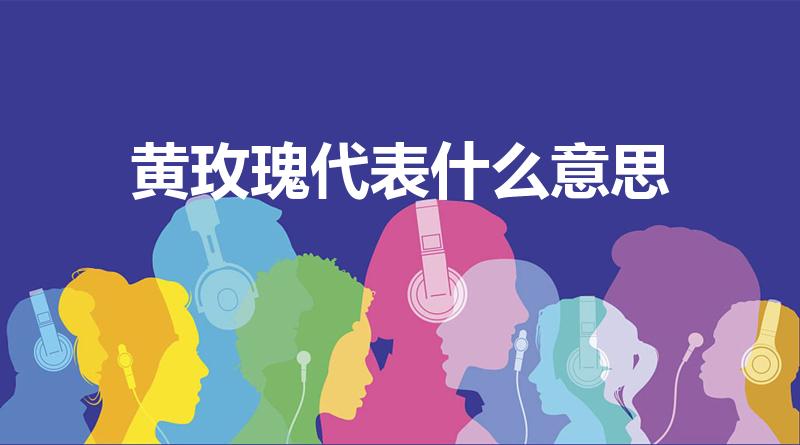 黄玫瑰代表什么意思（黄玫瑰代表什么）