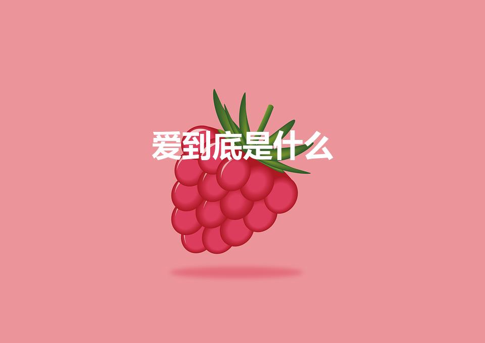 爱到底是什么（真正的爱到底是什么）