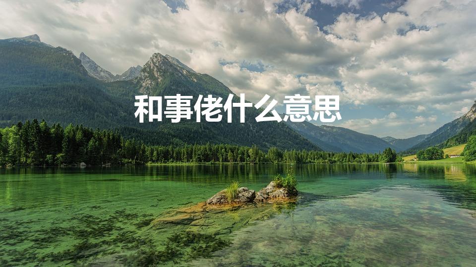 和事佬什么意思（和事佬与和事老区别）