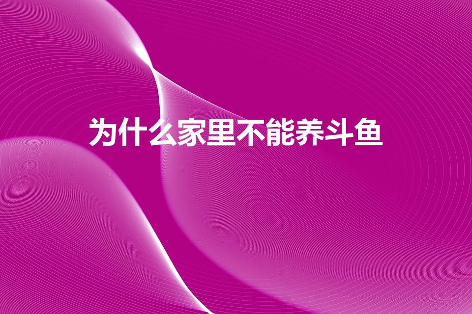 为什么家里不能养斗鱼（家里养斗鱼有什么讲究）