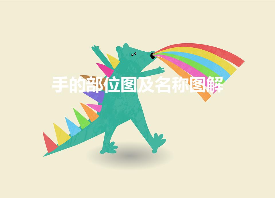 手的部位图及名称图解（手的结构图和名称是什么）