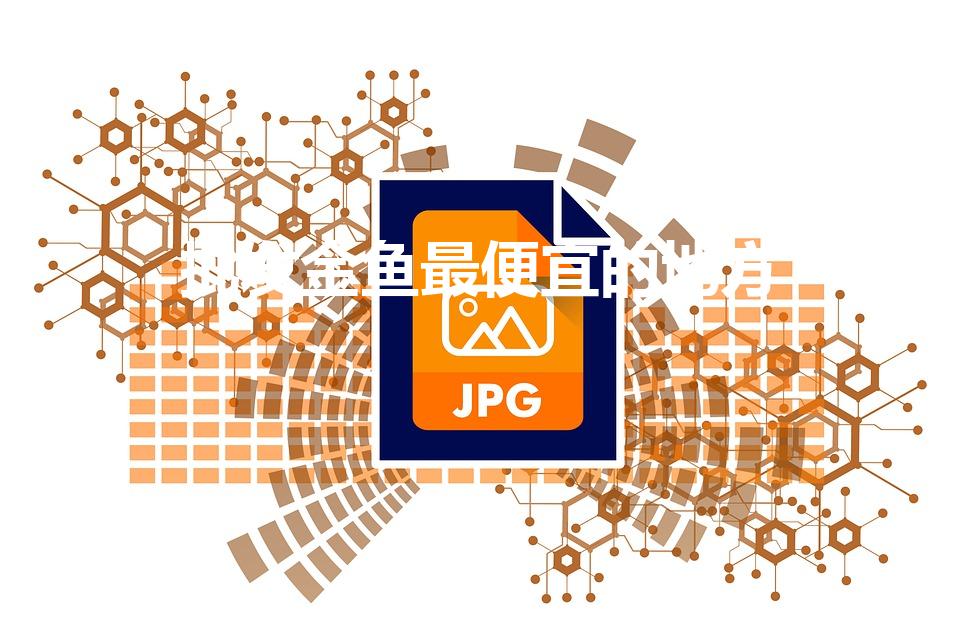 批发金鱼最便宜的地方（成都鱼批发从哪里进货最便宜）