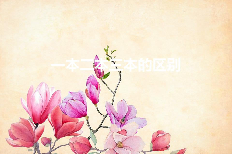 一本二本三本的区别（高考 一本、二本、三本有什么区别）