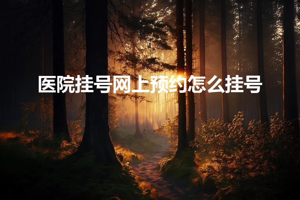 医院挂号网上预约怎么挂号（怎样网上预约挂号）