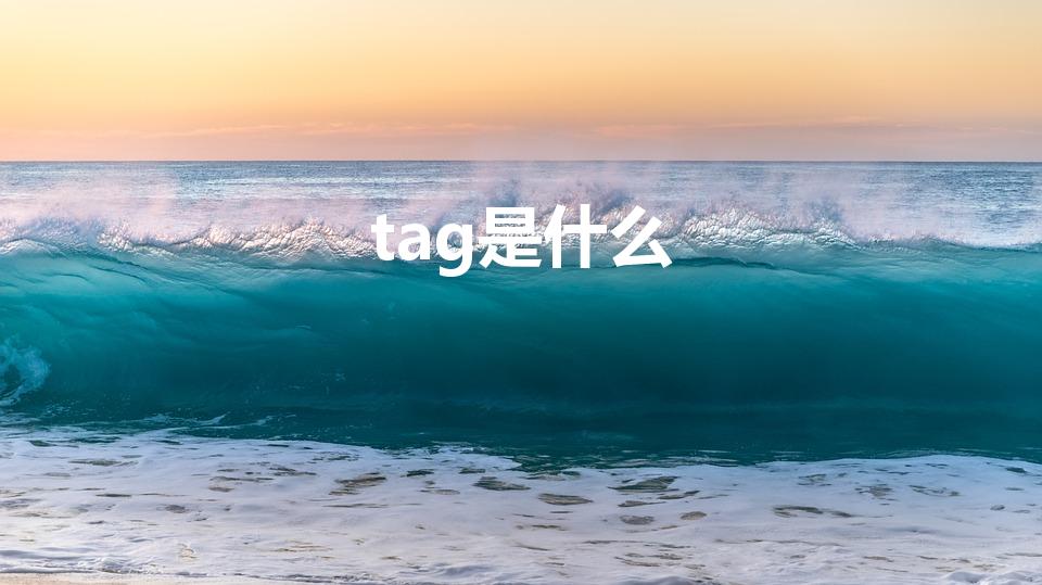 tag是什么（Tag是什么东西）
