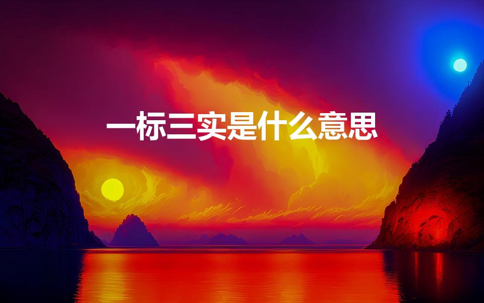 一标三实是什么意思（一标三实是指什么）