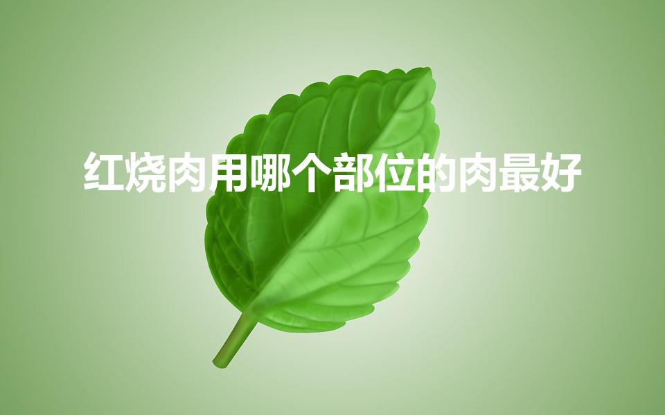 红烧肉用哪个部位的肉最好（红烧肉选哪个部位的肉）