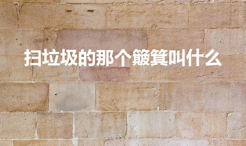 扫垃圾的那个簸箕叫什么（扫地用来装垃圾的东西学名叫什么）