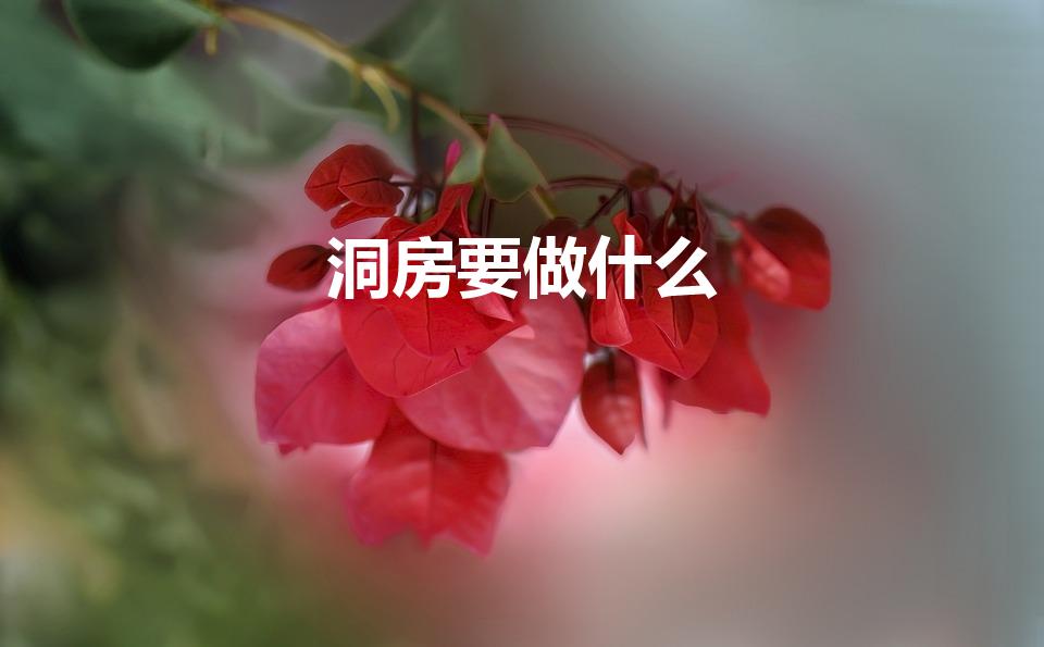洞房要做什么（结婚那洞房时需要干什么）