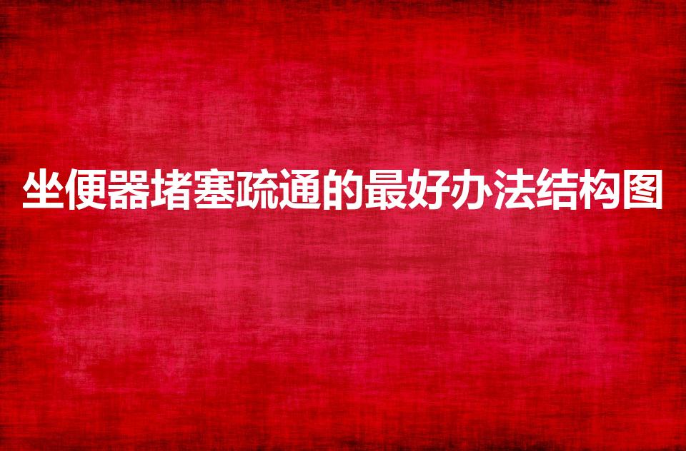 坐便器堵塞疏通的最好办法结构图（如何用马桶塞子疏通马桶）
