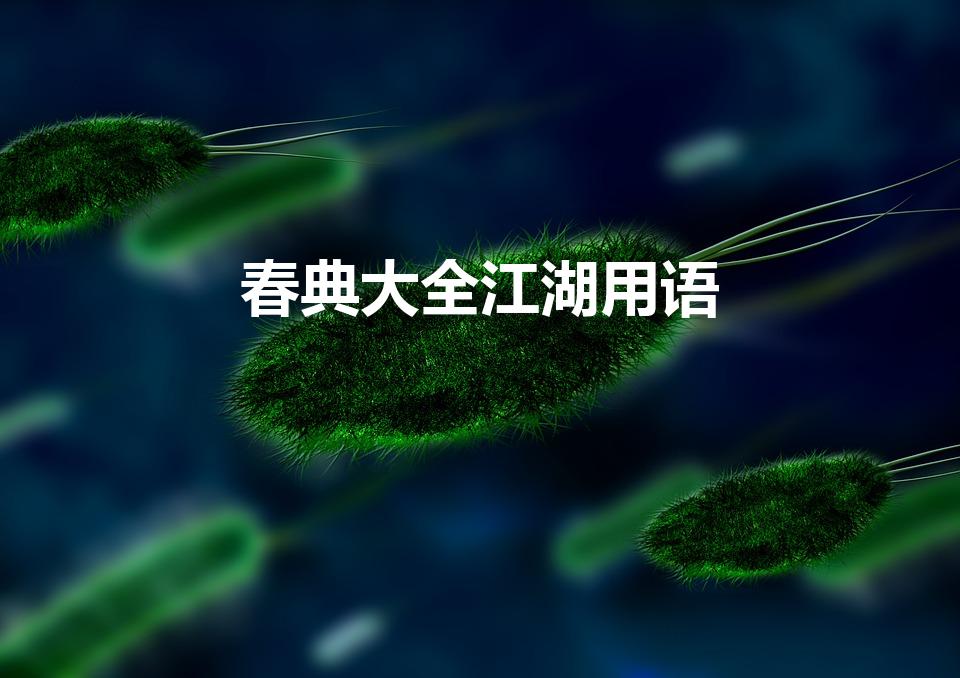 春典大全江湖用语（高分求“春典”大全(加解释)）