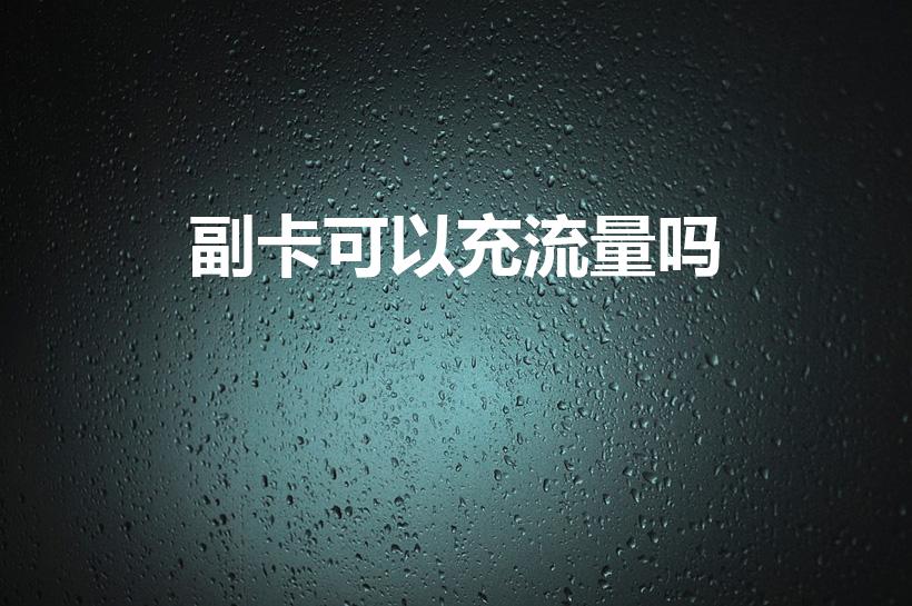 副卡可以充流量吗（副卡没流量了怎么自己充）