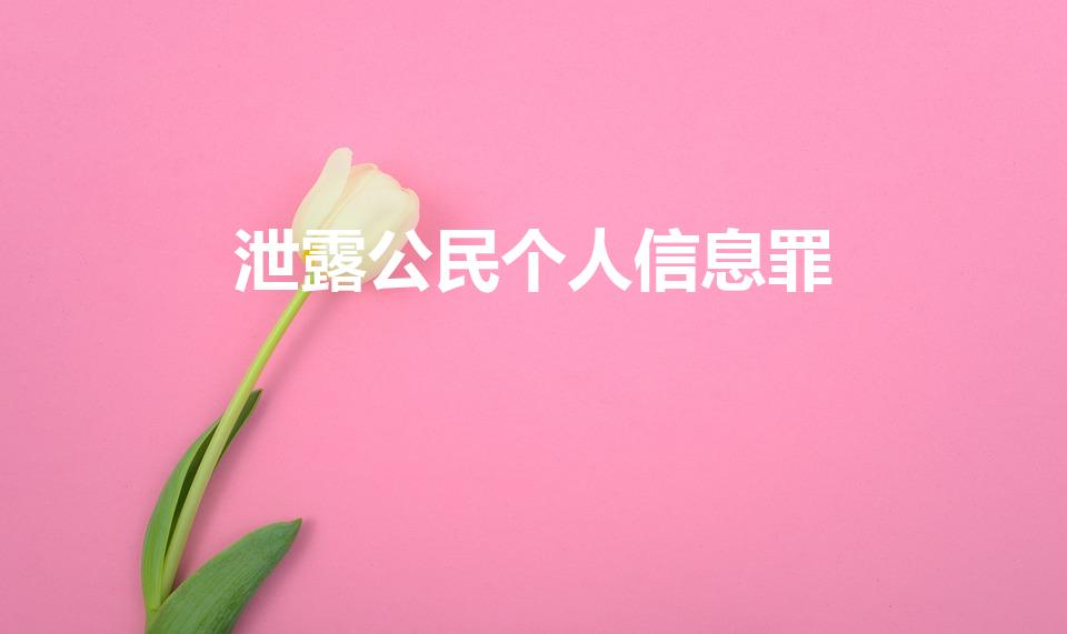 泄露公民个人信息罪（泄露信息罪怎么处理）