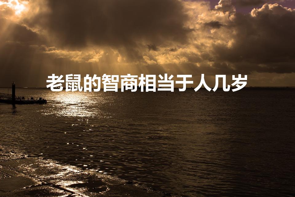 老鼠的智商相当于人几岁（老鼠的智商有多少啊）