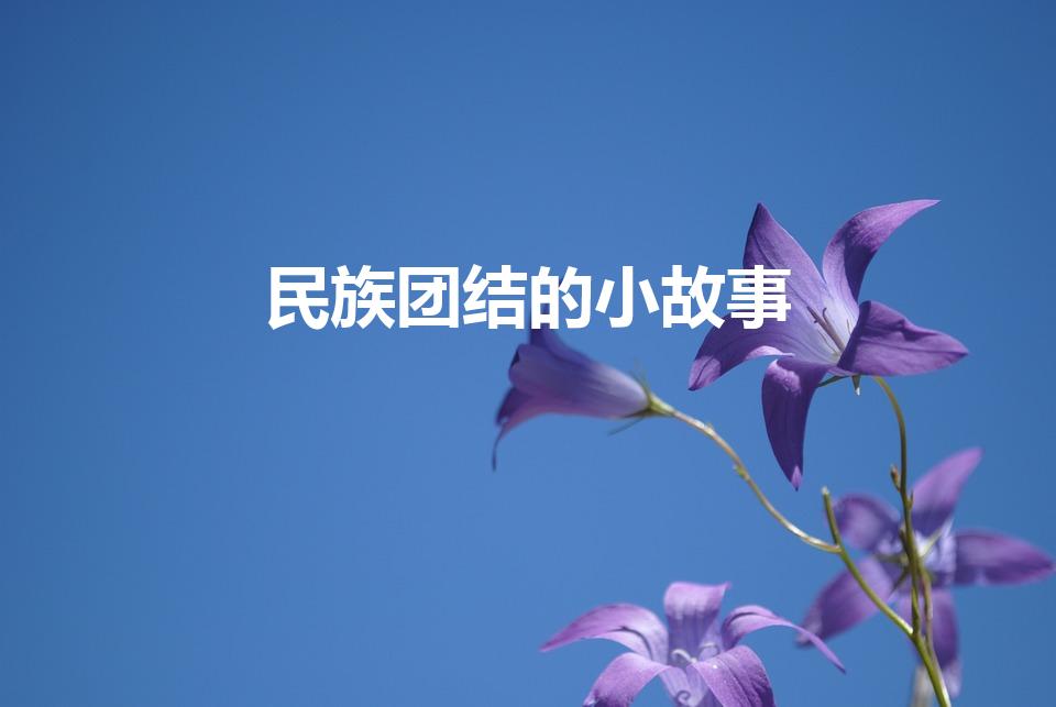 民族团结的小故事（民族团结的故事有哪些）