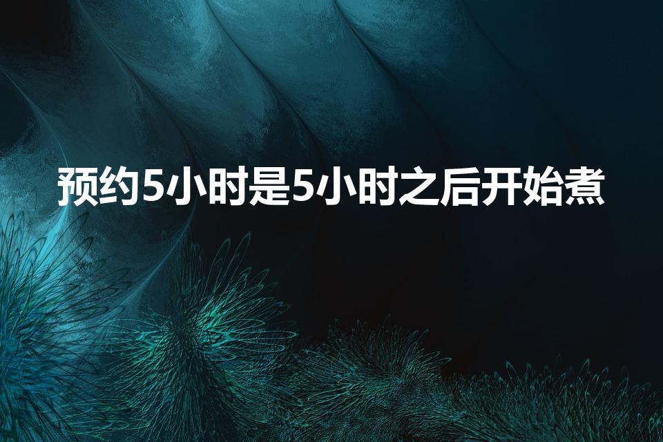 预约5小时是5小时之后开始煮