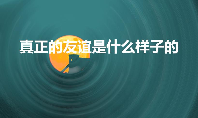 真正的友谊是什么样子的（真正的友情应该是什么样的）
