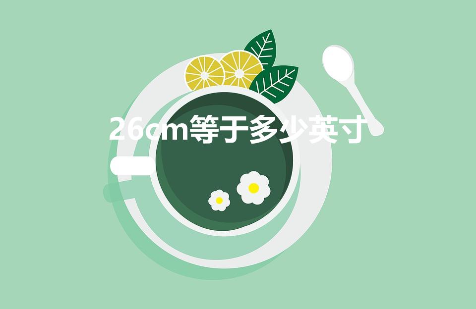 26cm等于多少英寸（平板长26cm宽15cm是多少寸）