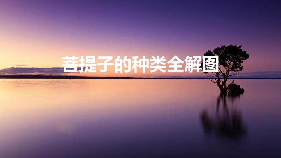 菩提子的种类全解图（菩提子种类最全图解）