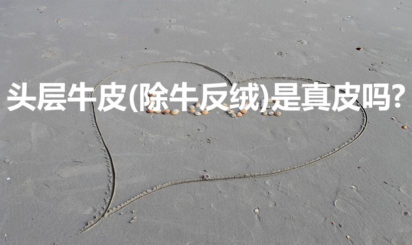头层牛皮(除牛反绒)是真皮吗?（除牛反绒是真皮吗）