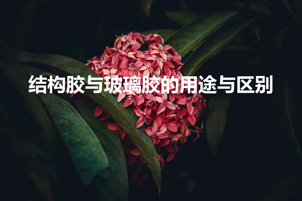 结构胶与玻璃胶的用途与区别（玻璃胶与结构胶的区别有哪些）
