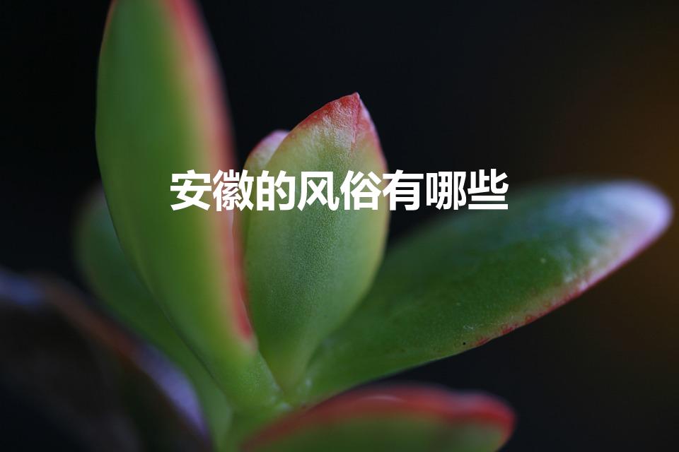 安徽的风俗有哪些（安徽的民风民俗）