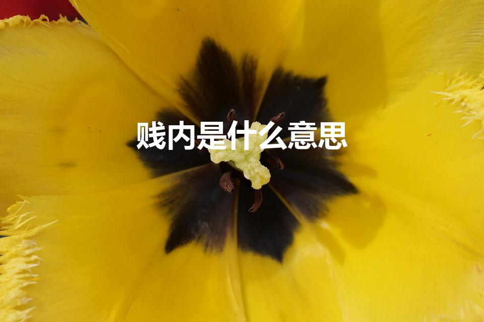 贱内是什么意思（贱内是什么意思 贱内是谦虚的称呼）