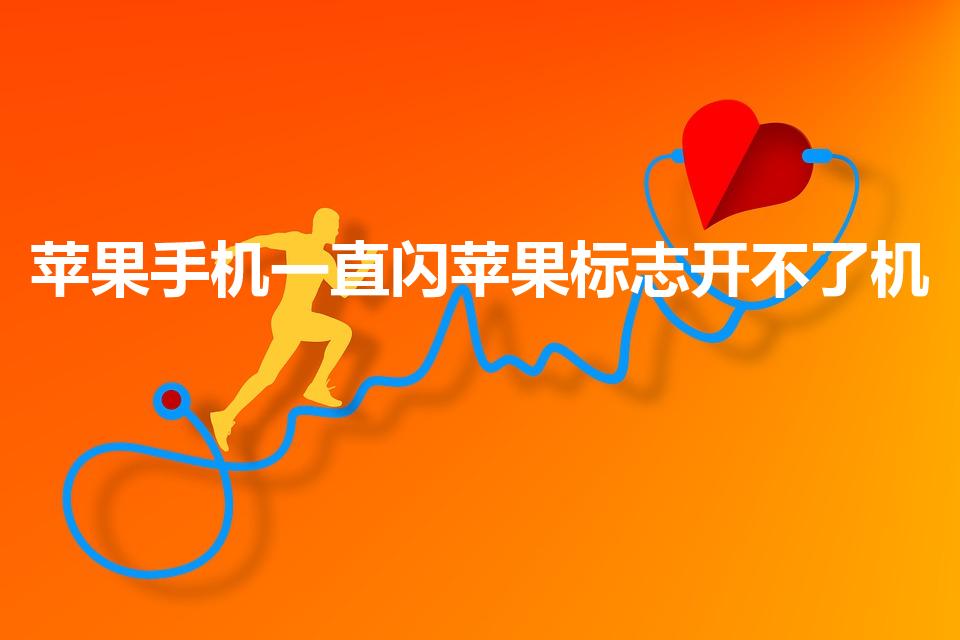 苹果手机一直闪苹果标志开不了机