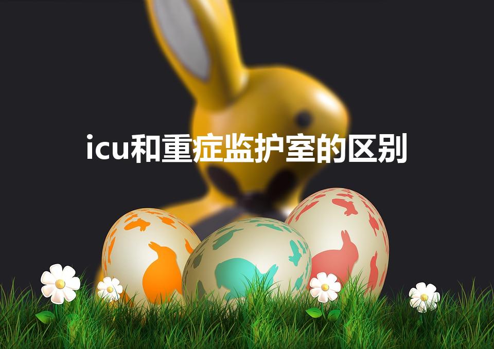 icu和重症监护室的区别（请问什么是ICU）