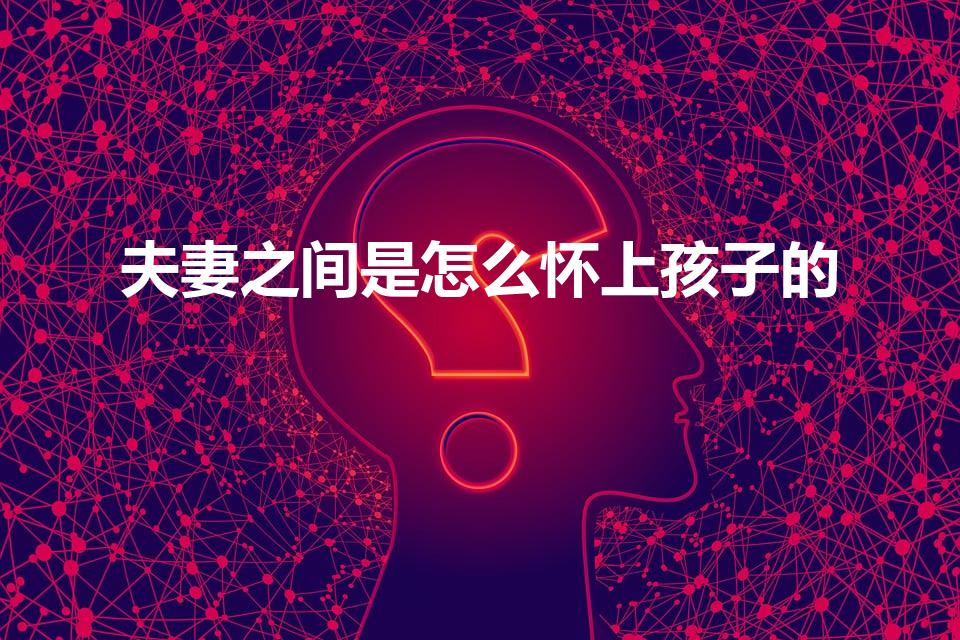 夫妻之间是怎么怀上孩子的（男女怎样才能怀上宝宝）