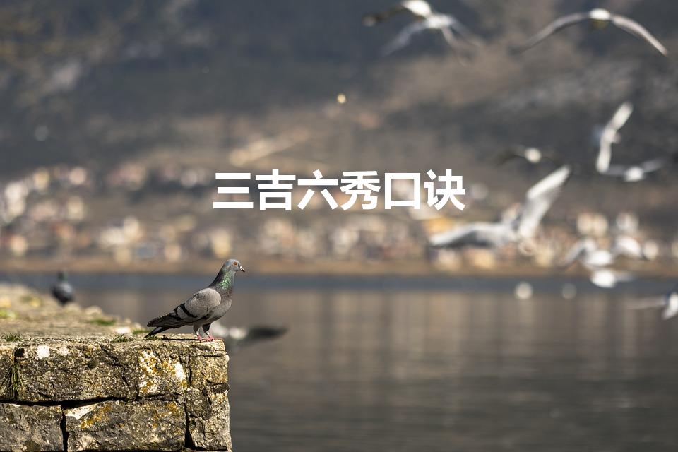 三吉六秀口诀（地理风水中的三吉六秀怎么解释）