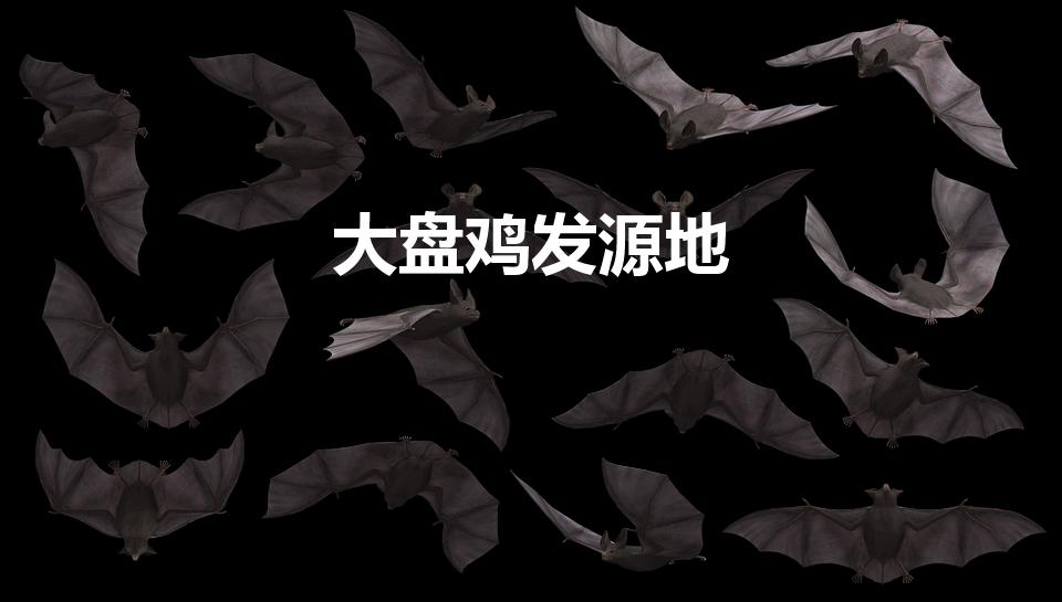 大盘鸡发源地（在新疆大盘鸡是哪儿的特色产品）
