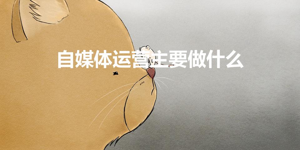 自媒体运营主要做什么（自媒体运营是做什么的）