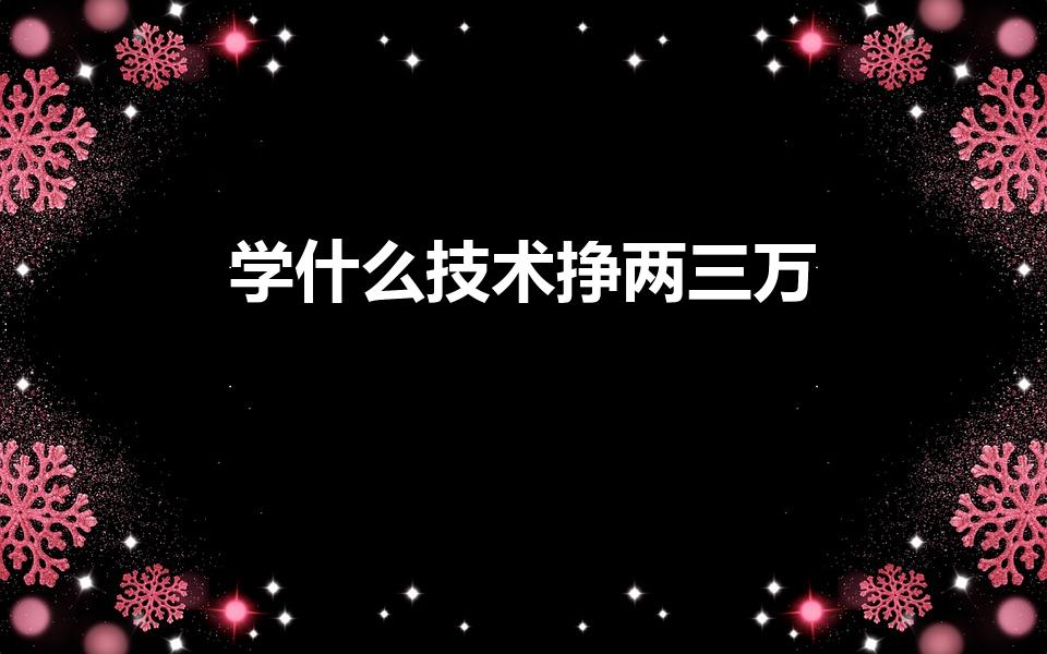 学什么技术挣两三万（学什么技术可以月入两三万）