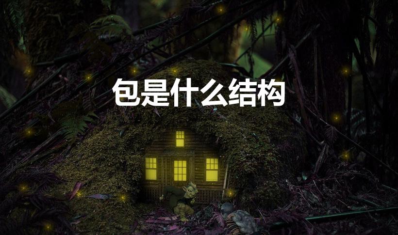 包是什么结构（包是什么结构的字）