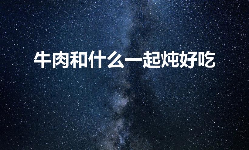 牛肉和什么一起炖好吃（炖牛肉时加什么东西会比较好吃）
