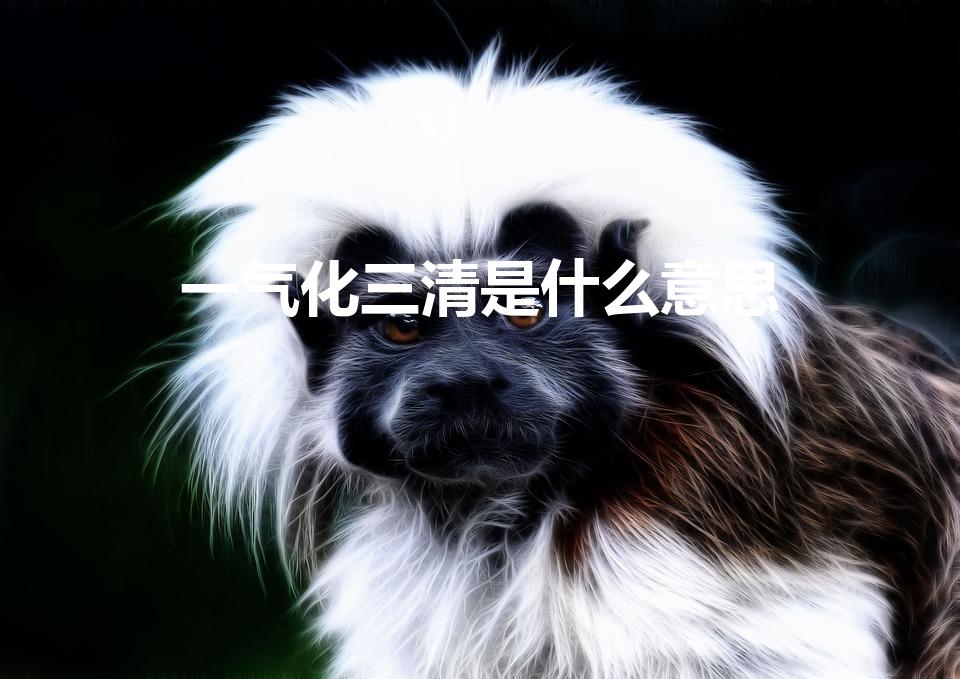 一气化三清是什么意思（一炁三清、什么意思）