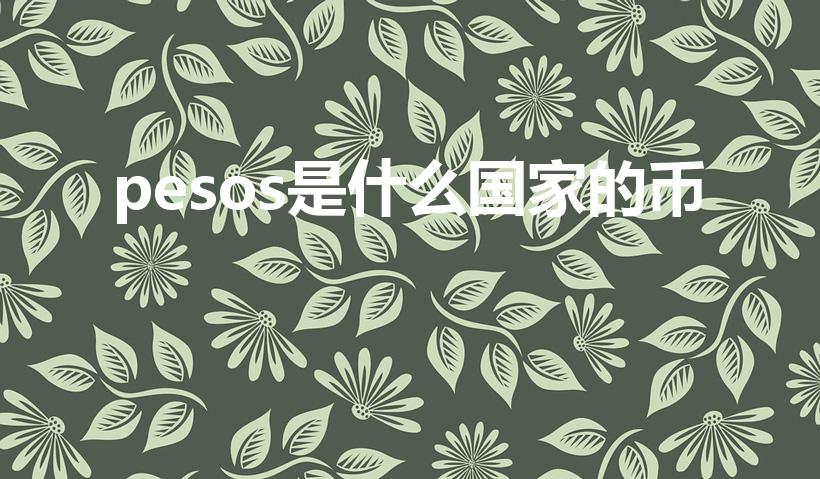 pesos是什么国家的币（巴西用钱是讲pesos还是）