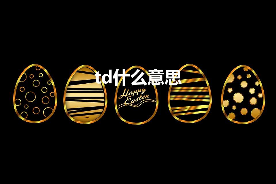 td什么意思（td是什么意思）