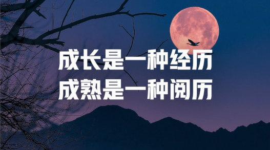 经历和阅历的区别（经历与阅历的不同之处）