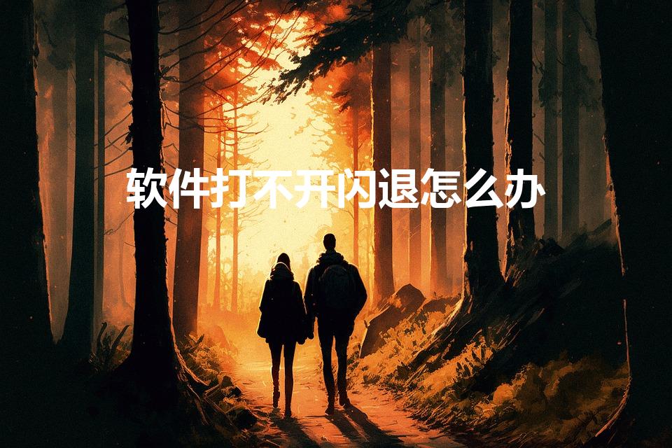 软件打不开闪退怎么办（手机软件打开闪退怎么办）