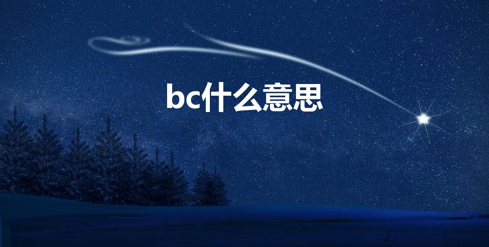 bc什么意思（BC什么意思）