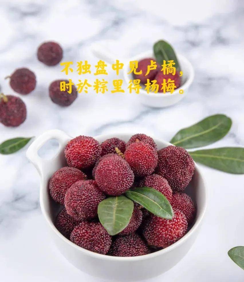 c32e0a81e3754aeb9ae020b076a14e7cnoop.image_ c32e0a81e3754aeb9ae020b076a14e7cnoop.image_