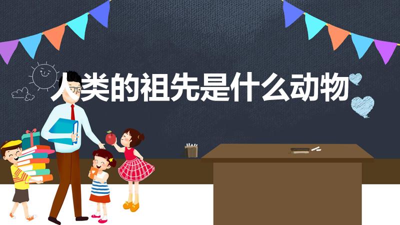 人类的祖先是什么动物（人类祖先是什么动物）