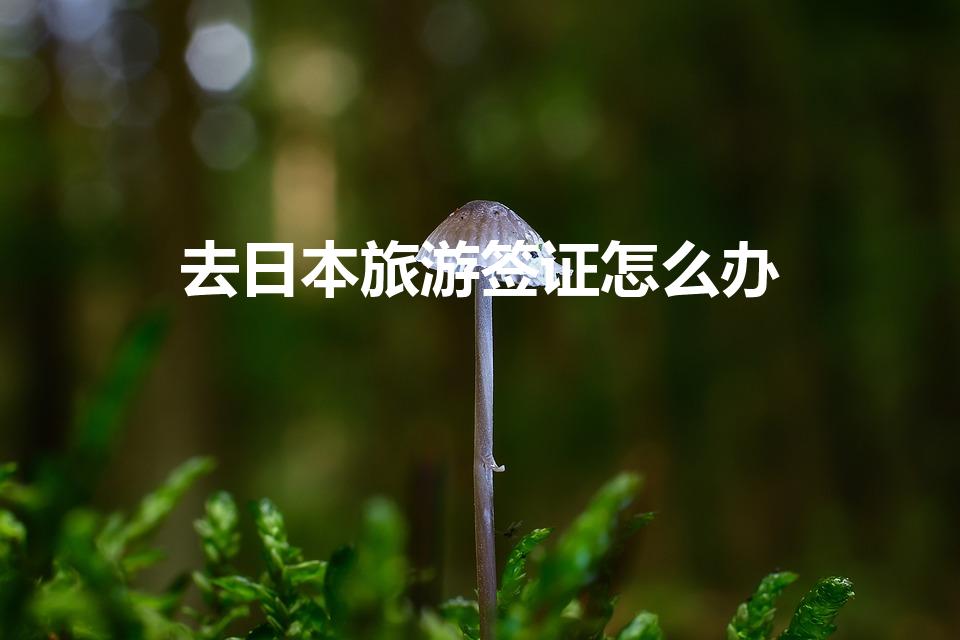 去日本旅游签证怎么办（去日本旅游签证怎么办理）